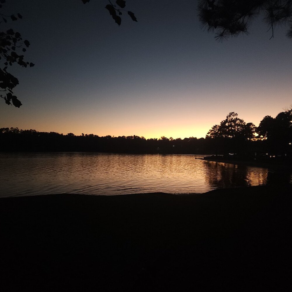 Meet your Posher, Bee